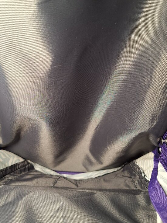 Jansport Backpack Zebra Black White w/Purple main image 4